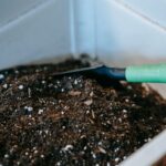 Beginner Tips for Composting at Home: Easy Steps to Get Started