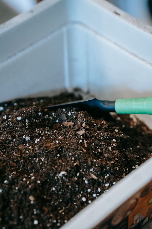 Beginner Tips for Composting at Home: Easy Steps to Get Started